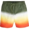 Short De Plage Avec Dégradé De Couleur En Polyester Recyclé -Rainbow Verkoopwinkel 22046244 jFBDSndd